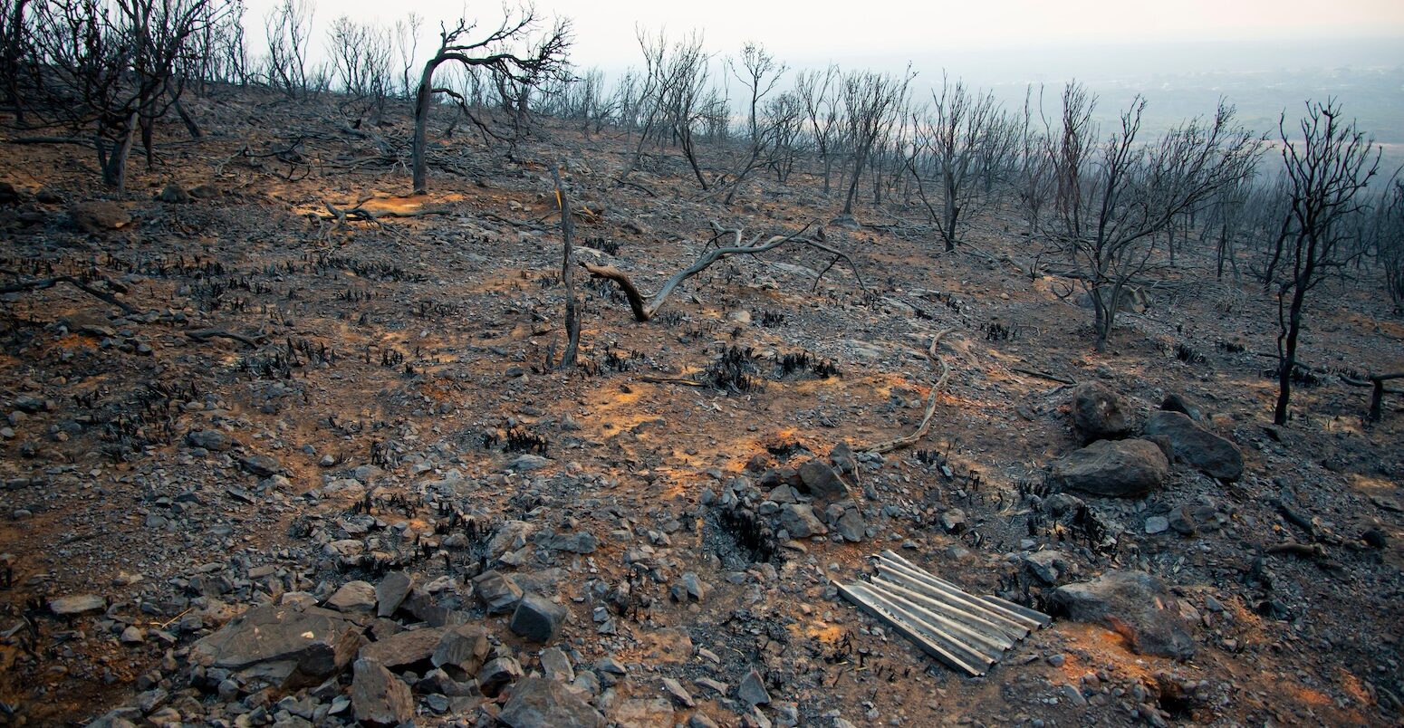 Bush fire devastation in Australia.