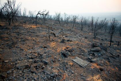 Bush fire devastation in Australia.