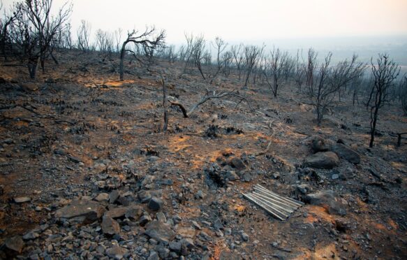 Bush fire devastation in Australia.