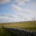 Wind Turbines on a onshore windfarm, Scotland, UK.