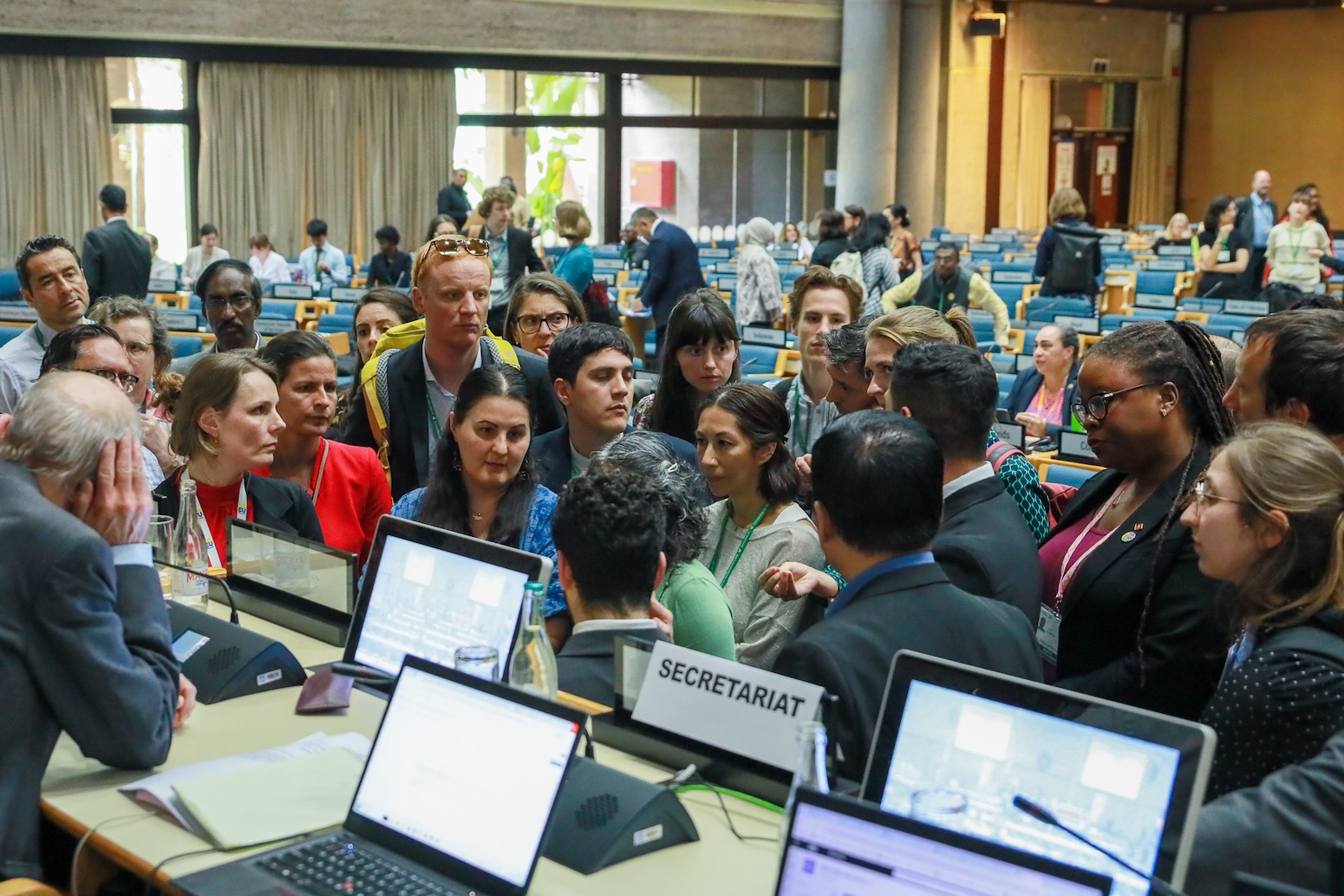 Interactive: Tracking Negotiating Texts At The UN’s COP16 Biodiversity ...