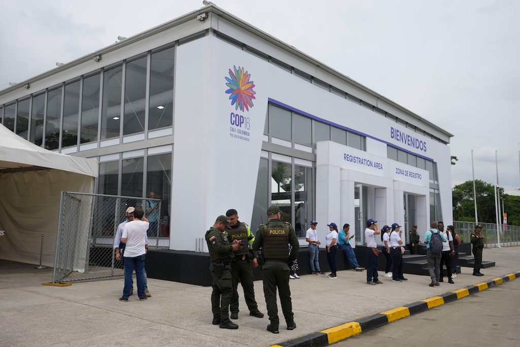 Police officers standing outside the COP16 blue zone venue in Cali, Colombia on 19 October.