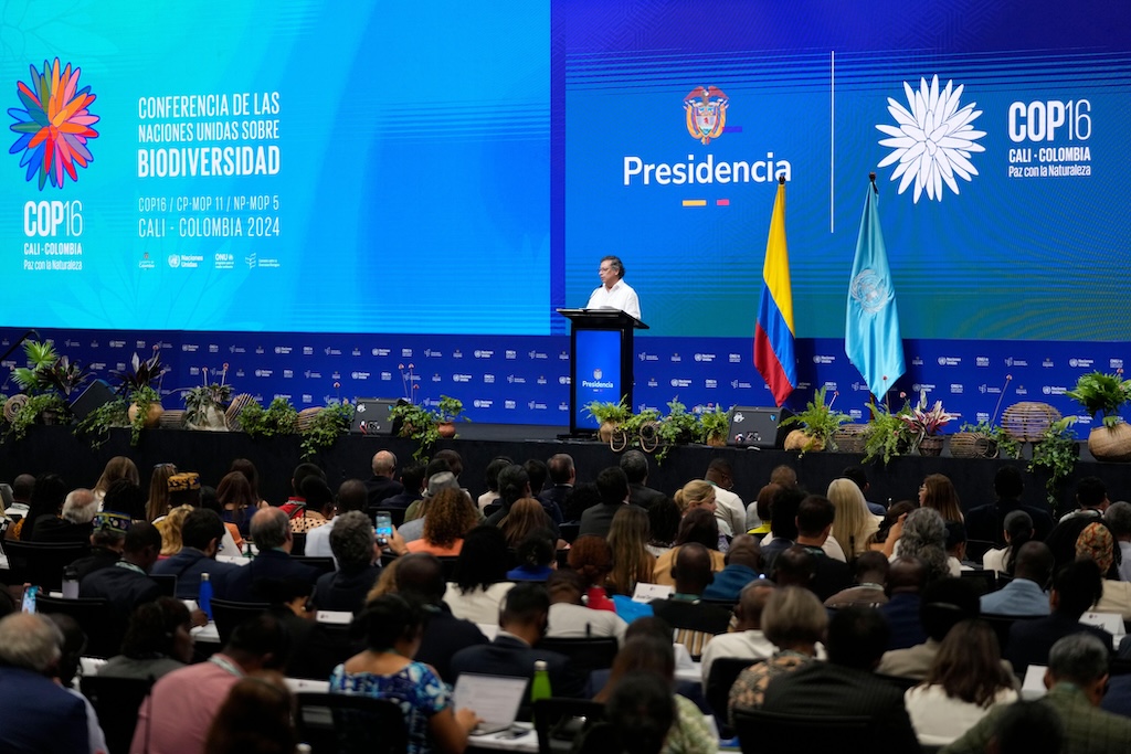 Colombian president Gustavo Petro speaking at the opening ceremony of COP16 in Cali, Colombia on Sunday 20 October 2024.