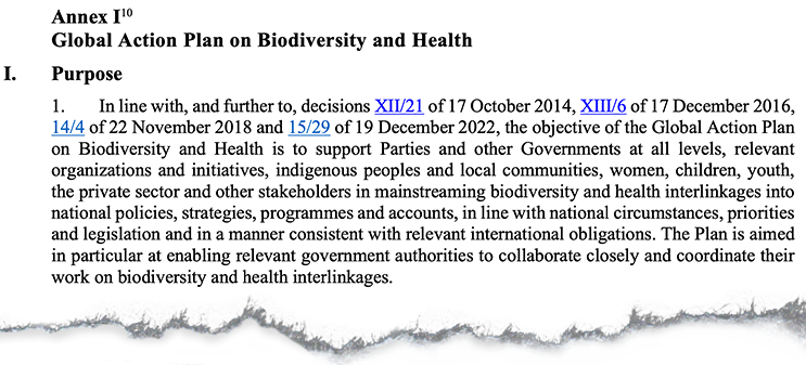 Annex I of the global action plan on biodiversity and health. Source: UN CBD (2024)