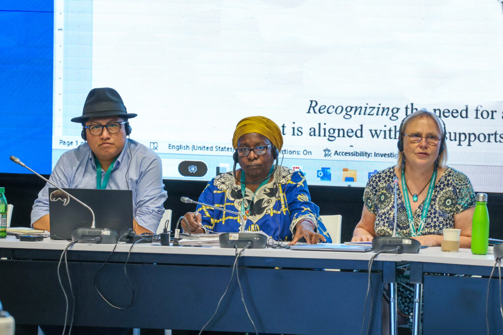 COP16 delegates wearing headphones for translation services during a contact group meeting on 29 October.