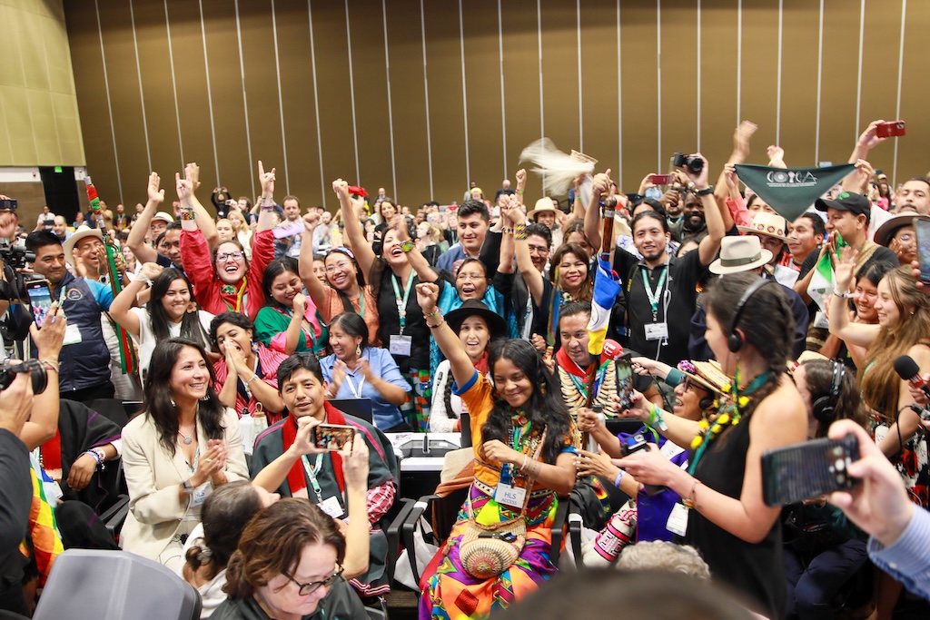 Delegates celebrate the adoption of the decision establishing a subsidiary body on Indigenous peoples during the plenary session of COP16 on 1 November. Credit: IISD/ENB | Mike Muzurakis