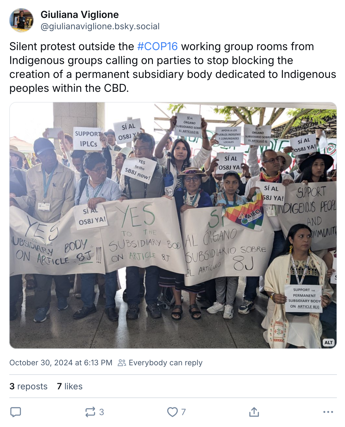 Giuliana Viglione on BlueSky (@giulianaviglione.bsky.social‬): Silent protest outside the #COP16 working group rooms from Indigenous groups calling on parties to stop blocking the creation of a permanent subsidiary body dedicated to Indigenous peoples within the CBD.