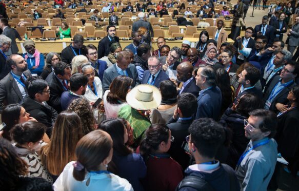 Parties deliberate at the COP29 in Baku.