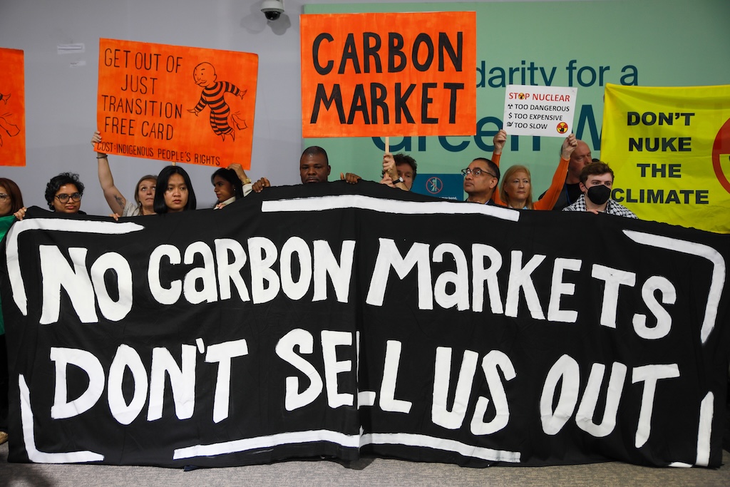 Activists protesting against carbon markets in the COP29’s Blue Zone on 14 November.