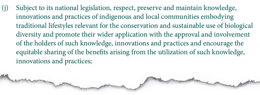 Article 8(j) of the UN Convention on Biological Diversity addresses the role of IPLCs knowledge and practices for implementing the objectives of the convention. Source: UN CBD (2011)