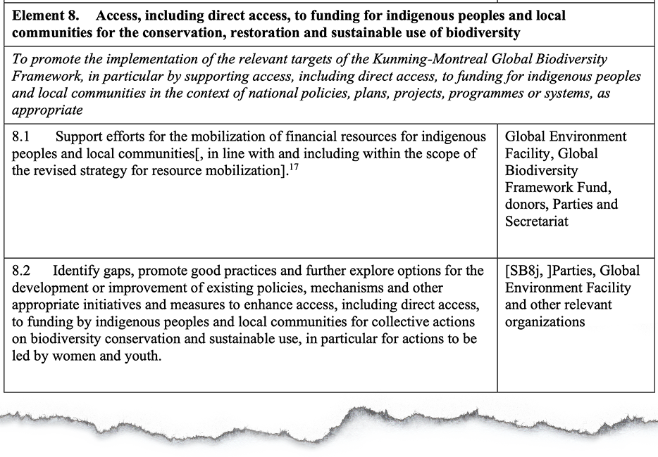 Element eight of the programme of work on Article 8(j) encourages parties to provide access and direct access to funding for IPLCs for the implementation of the GBF. Source: UN CBD (2024)