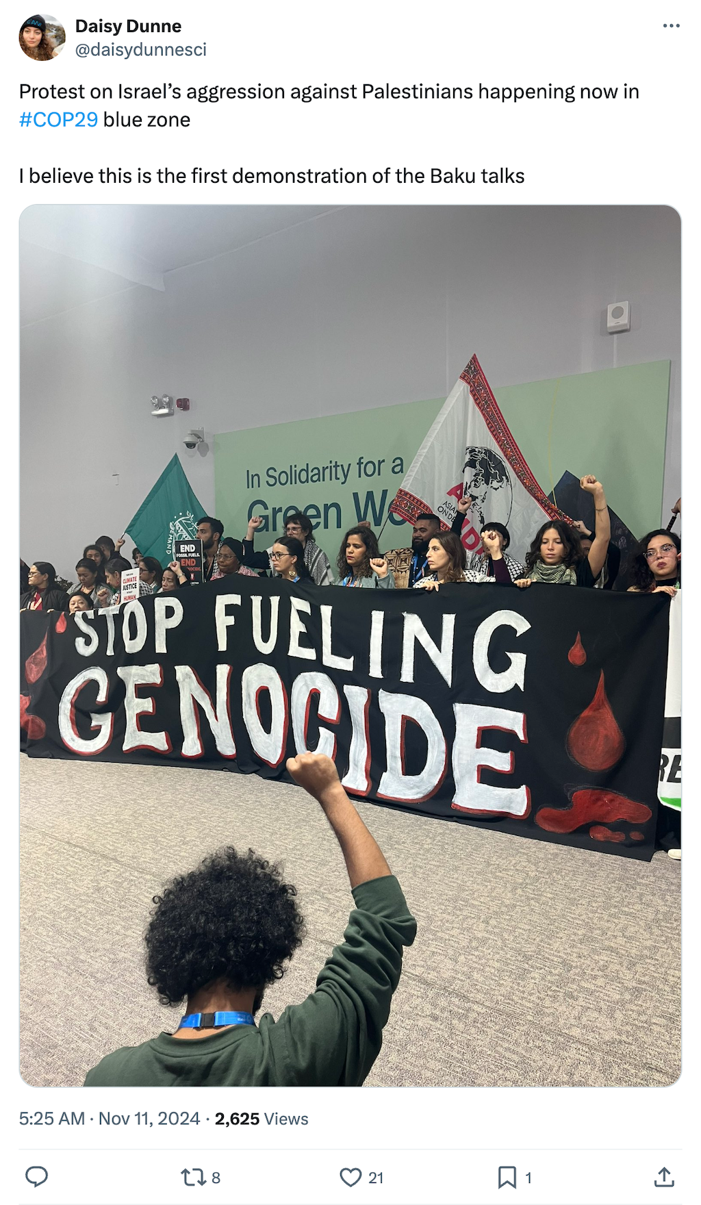 Daisy Dunne on X: Protest on Israel’s aggression against Palestinians happening now in COP29 blue zone