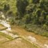 Flooded rice fields in Laos. Credit: Max Dominik Daiber / Alamy Stock Photo. Image ID: JJDTJK.