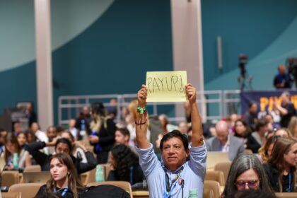 A man holds up a 'pay-up' sign at COP29 in Baku.