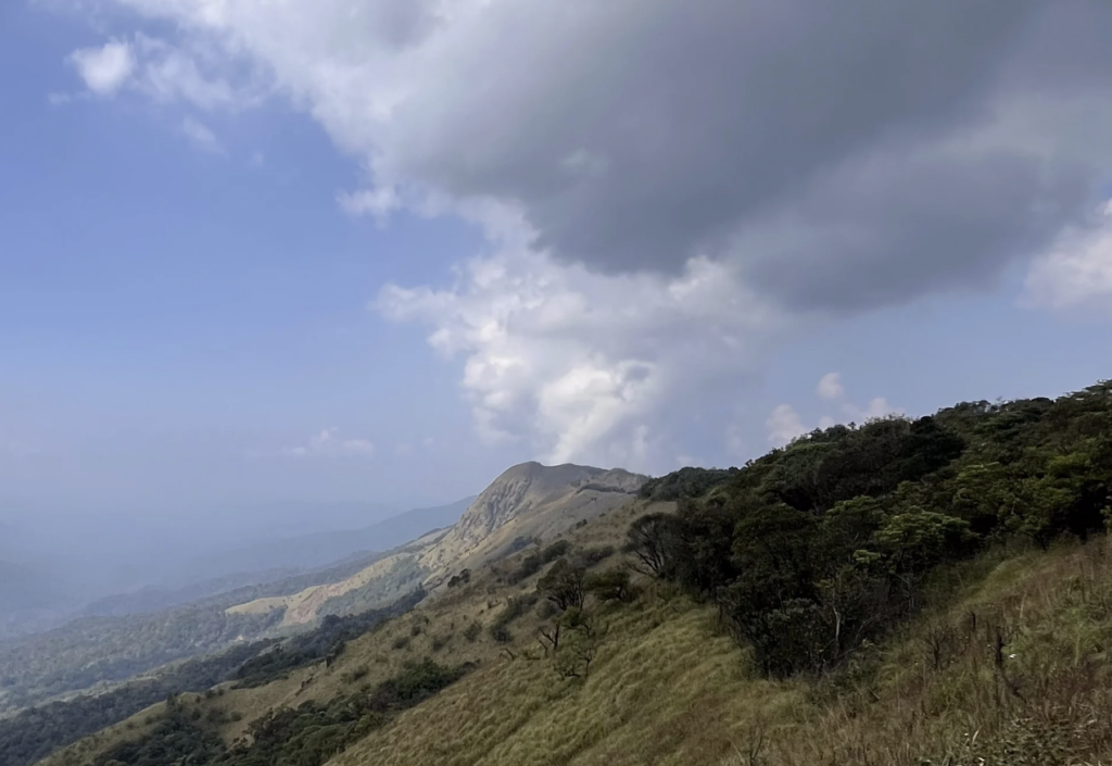 A hillside in Coorg (Kodagu) in southwest India. Credit: Aruna Chandrasekhar, Carbon Brief