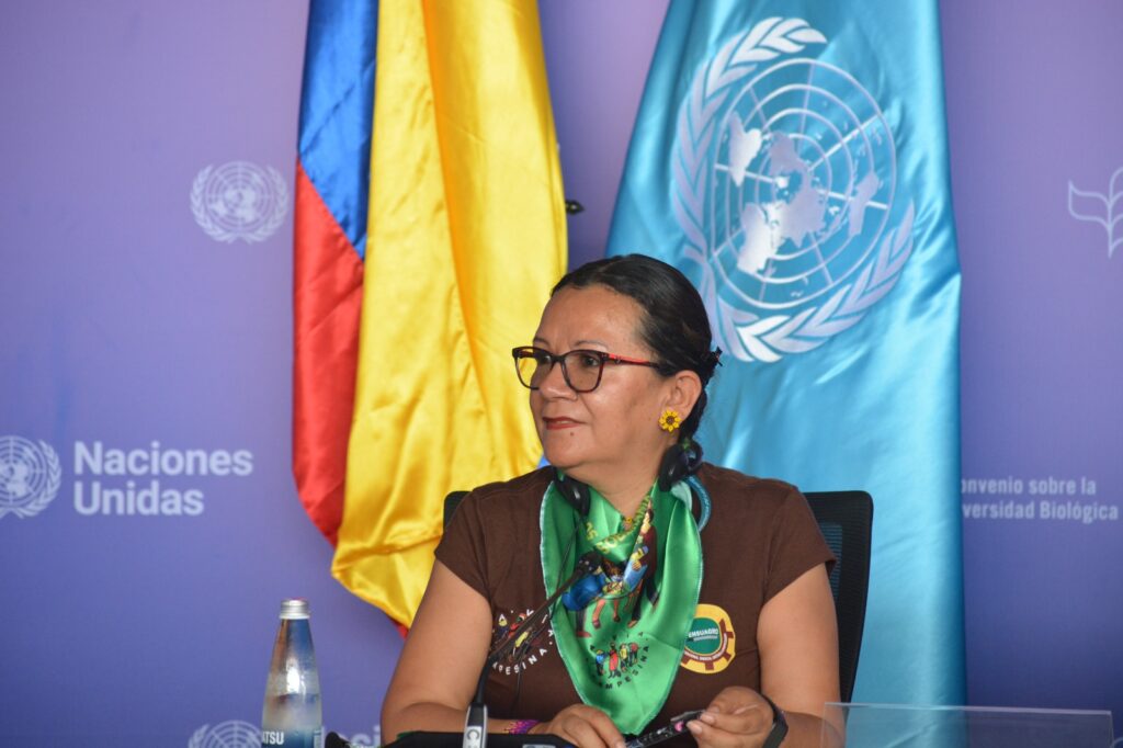 Nury Martínez, president of the Colombian farmers’ organisation Fensuagro, speaking at a press conference at COP16 in Cali, Colombia. Credit: Fensuagro