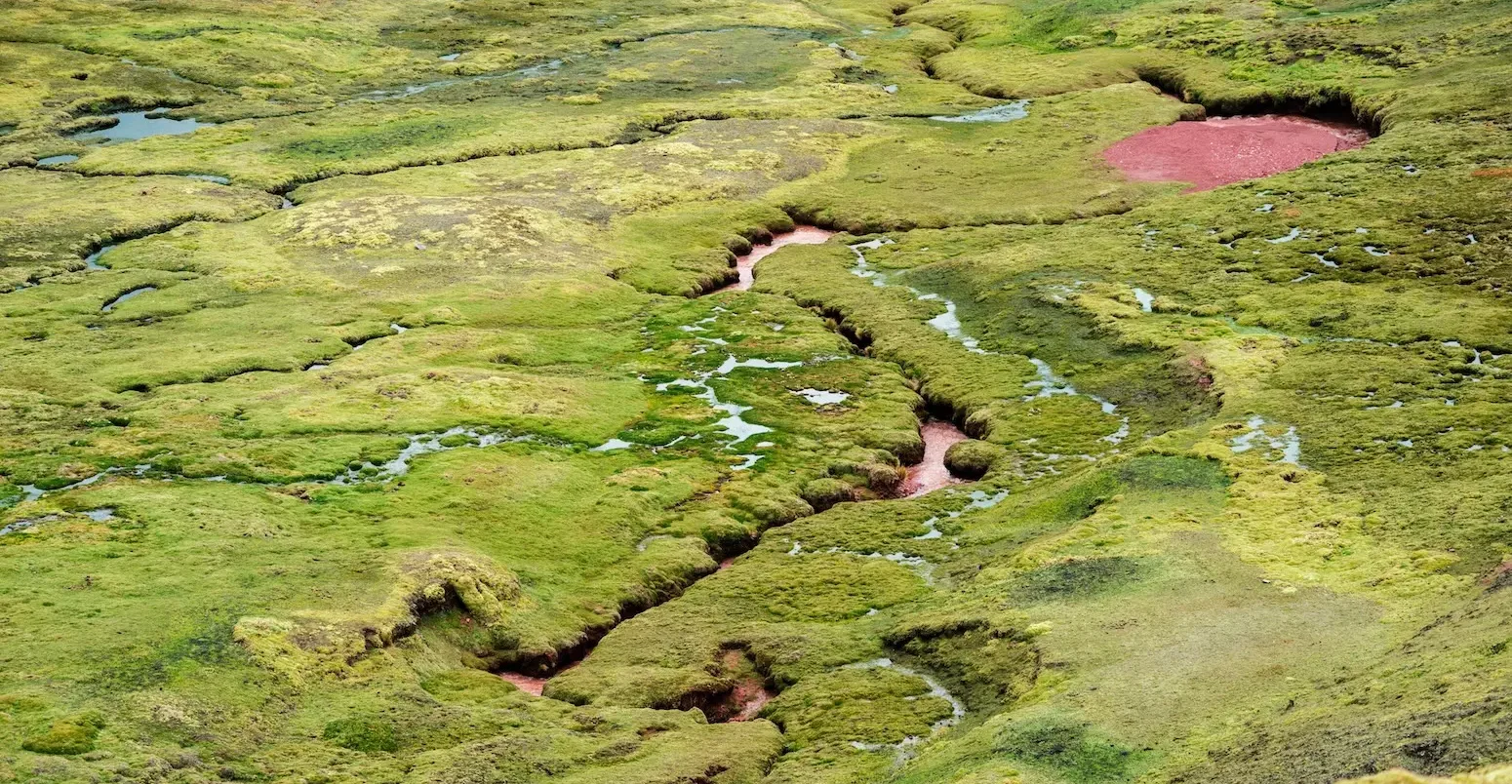 Marsh in Peru.