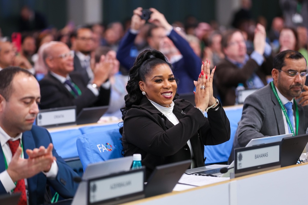 COP16 delegates celebrate the adoption of decisions. Credit: IISD/ENB | Mike Muzurakis (2025)