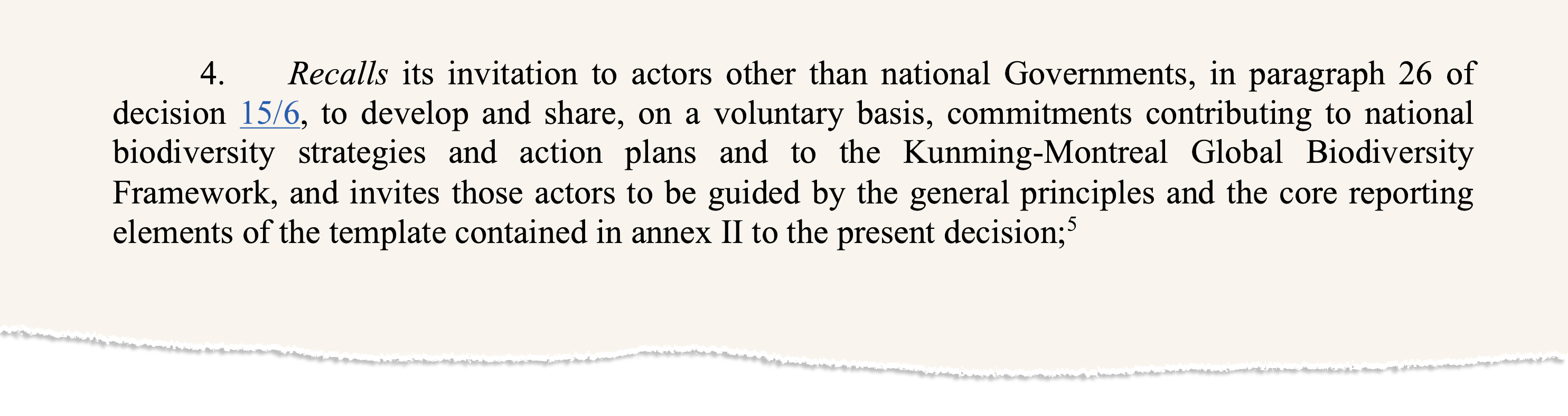 Excerpt from a negotiated UN biodiversity text on mechanisms for planning, monitoring, reporting and review (PMRR). Source: UN Convention on Biological Diversity (2025)