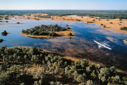 An aerial view of Okavango-Delta in Botswana