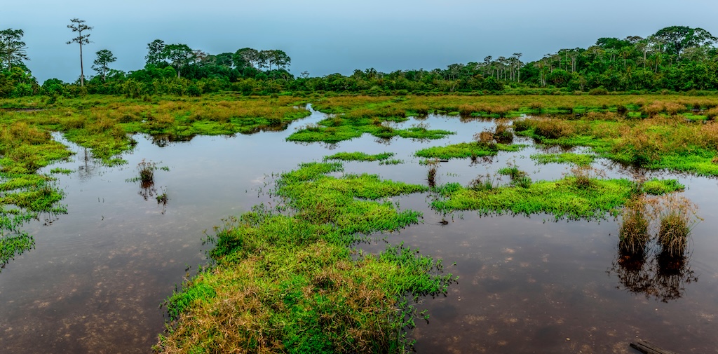 Lango Bai in Odzala-Kokoua National Park, Republic of the Congo.