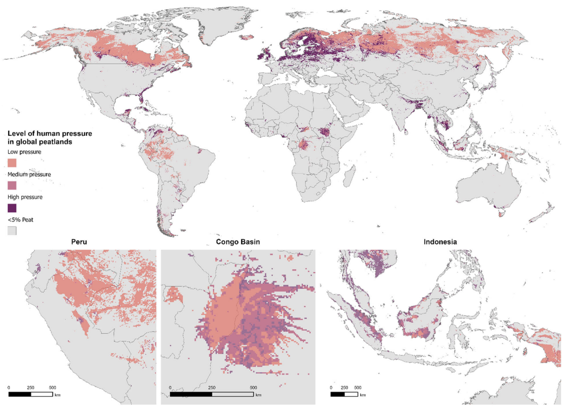 Map of human pressure in global peatlands