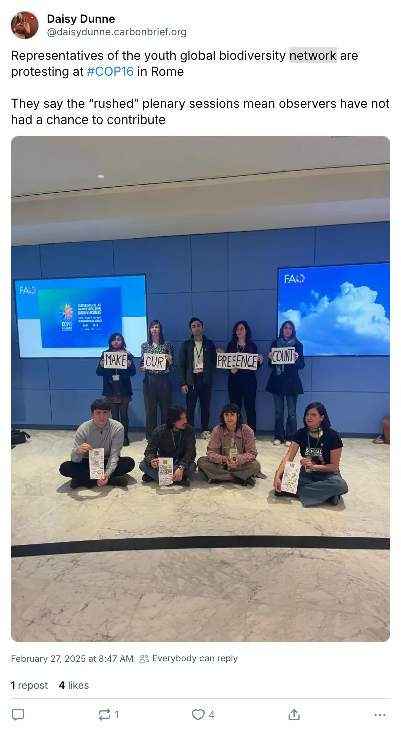 Daisy Dunne on BlueSky (‪@daisydunne.carbonbrief.org‬): "Representatives of the youth global biodiversity network are protesting at #COP16 in Rome They say the “rushed” plenary sessions mean observers have not had a chance to contribute"