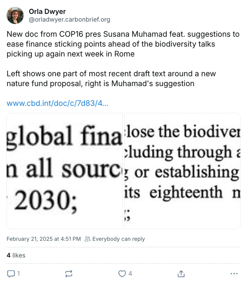 Orla Dwyer on BlueSky (@orladwyer.carbonbrief.org‬): "New doc from COP16 pres Susana Muhamad feat. suggestions to ease finance sticking points ahead of the biodiversity talks picking up again next week in Rome Left shows one part of most recent draft text around a new nature fund proposal, right is Muhamad's suggestion"