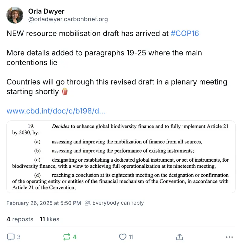 Orla Dwyer on BlueSky (@orladwyer.carbonbrief.org‬): "NEW resource mobilisation draft has arrived at #COP16 More details added to paragraphs 19-25 where the main contentions lie Countries will go through this revised draft in a plenary meeting starting shortly "