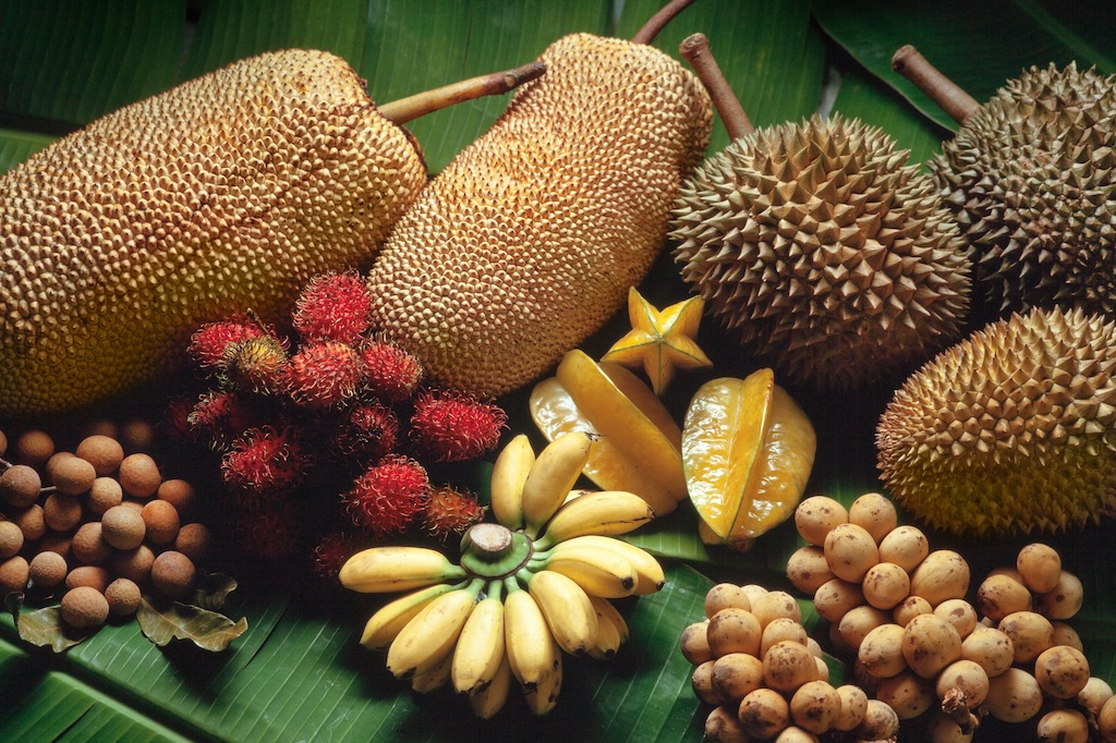 Tropical fruits variety from Malaysia, including Durian, banana, star fruit, rambutan, jackfruit, longan, and mata kuching. Credit: Scenics and Science / Alamy Stock Photo